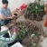 紫玉淮山药软糯香甜质优价廉欢迎选购电商市场商超