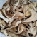 烘【干平菇】蘑菇干全年供应一手货源欢迎咨询