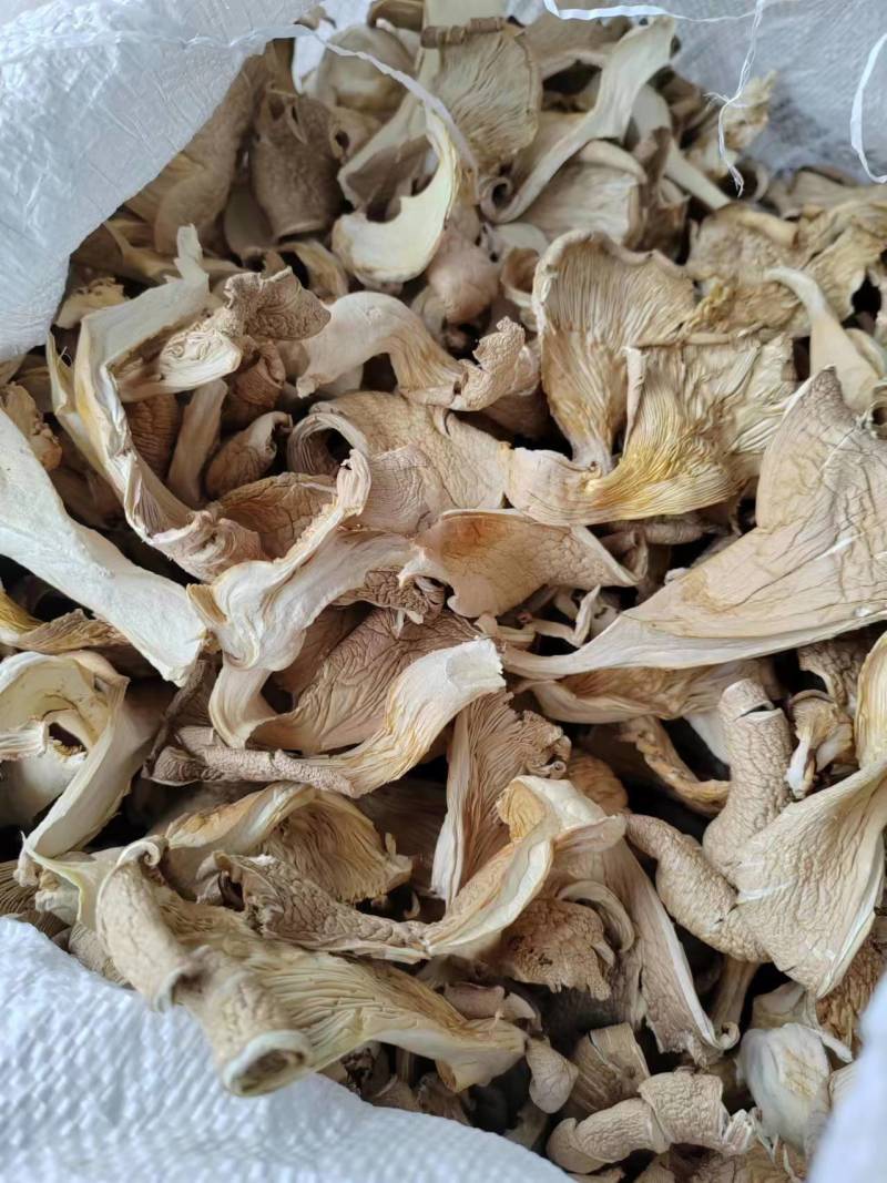 烘【干平菇】蘑菇干全年供应一手货源欢迎咨询
