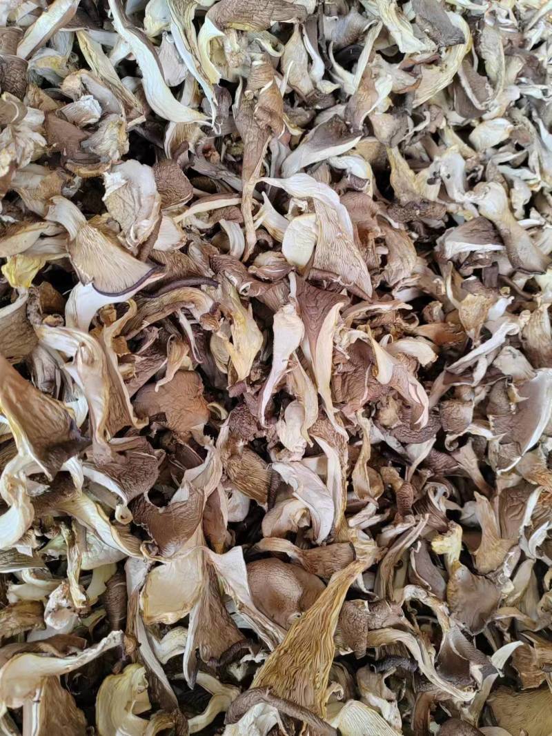 烘【干平菇】蘑菇干全年供应一手货源欢迎咨询