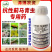 青虫蓟马药杀虫剂虫螨腈唑虫酰胺豆角豇豆茄子蔬菜抗性蓟