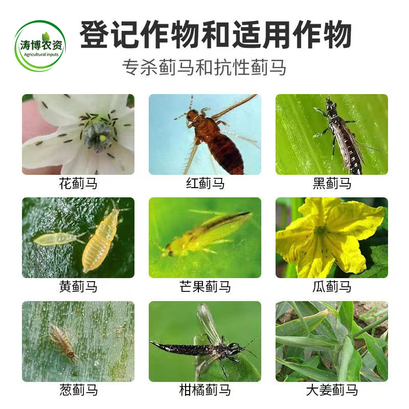 青虫蓟马药杀虫剂虫螨腈唑虫酰胺豆角豇豆茄子蔬菜抗性蓟
