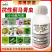 青虫蓟马药杀虫剂虫螨腈唑虫酰胺豆角豇豆茄子蔬菜抗性蓟