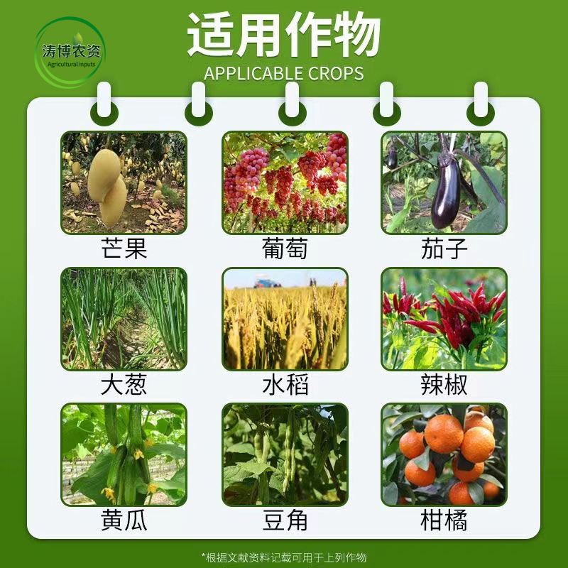 青虫蓟马药杀虫剂虫螨腈唑虫酰胺豆角豇豆茄子蔬菜抗性蓟