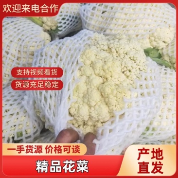河北精品松花菜散花，全国发货，产品直发可视频看货