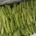 5-11月份吉林精品油豆角产地大量供应