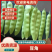 5-11月份吉林精品油豆角产地大量供应