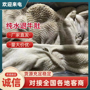 【优选牛肚】山东济南商河纯水退牛肚大量有货欢迎采购商随时咨询