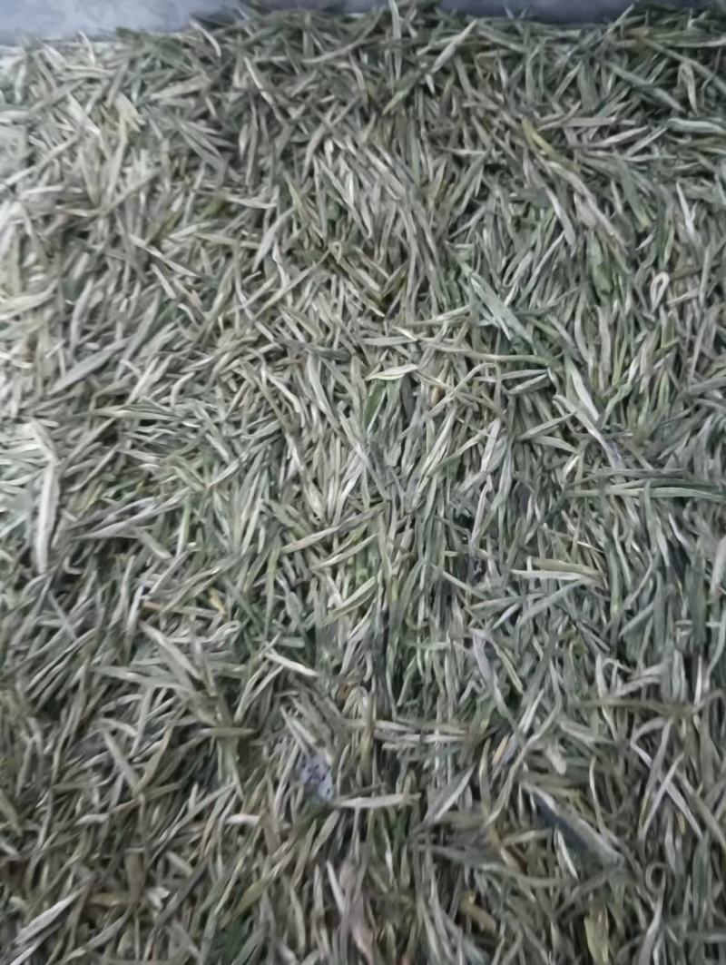 信阳毛尖，自家茶园种植，原产地发货，量大从优欢迎选购。