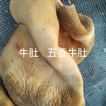 五香熟牛肚量大质优价格优惠一手货源欢迎咨询采购