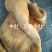 五香熟牛肚量大质优价格优惠一手货源欢迎咨询采购