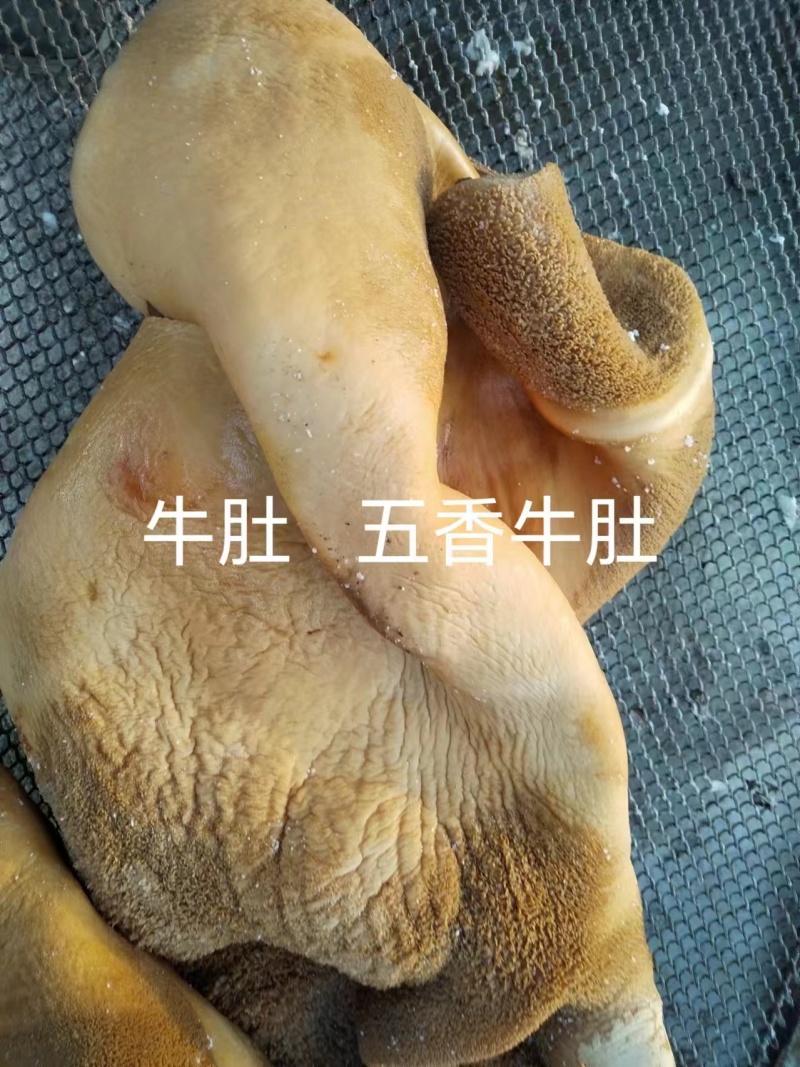 五香熟牛肚量大质优价格优惠一手货源欢迎咨询采购