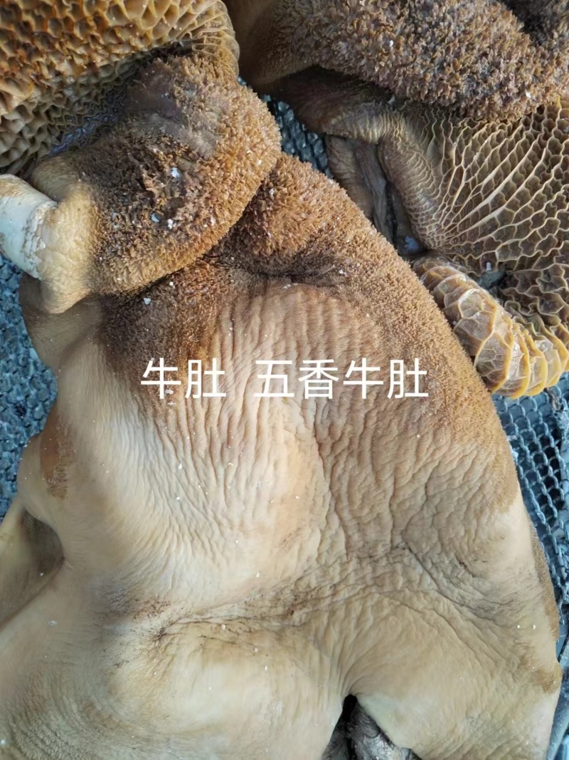 五香熟牛肚量大质优价格优惠一手货源欢迎咨询采购
