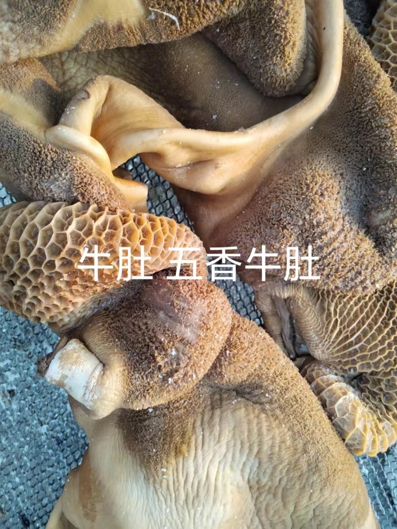 五香熟牛肚量大质优价格优惠一手货源欢迎咨询采购