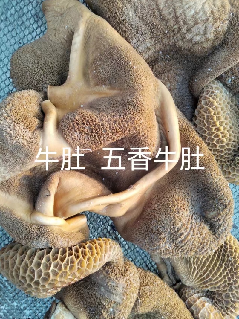 五香熟牛肚量大质优价格优惠一手货源欢迎咨询采购