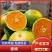 【实力推荐】精品湖北蜜橘大量上市个大皮薄口感纯甜