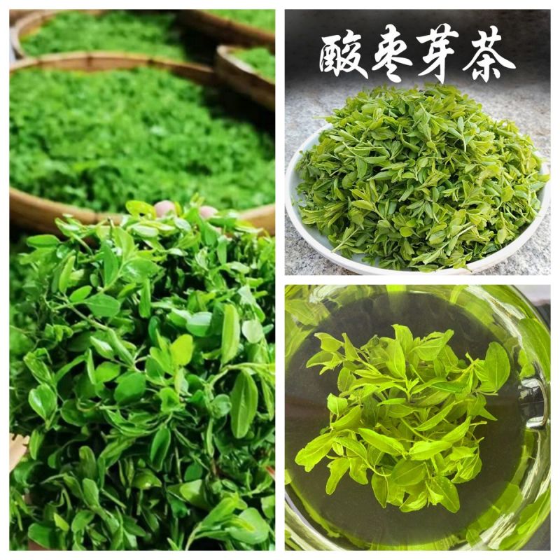【荣誉店】酸枣叶茶零售批发品质保证包邮正品保证可实地考察