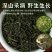 天然崂山野生茶正品量大从优后头客多对接全国生意