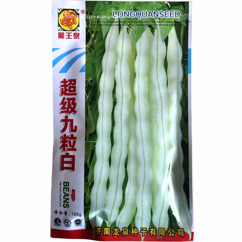 超级九粒白芸豆种子白不老豆角种子四季菜种子老来少豆籽早熟