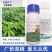 五指毛桃除草剂苗后灭草药禾阔莎香附子芋仔草日本草精喹禾灵