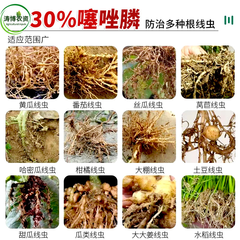 噻唑膦悬浮剂黄瓜杀线虫药蔬菜根结线虫药灌根根瘤病茎线虫噻