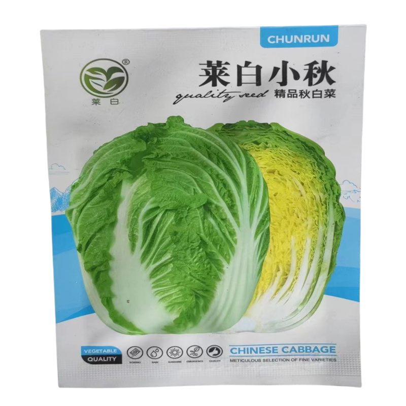 莱白小秋白菜种子一代杂交黄心大白菜种子中晚熟