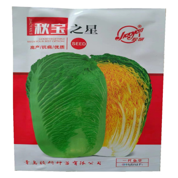 秋宝之星白菜种子高产黄心大白菜种子秋季白菜种子