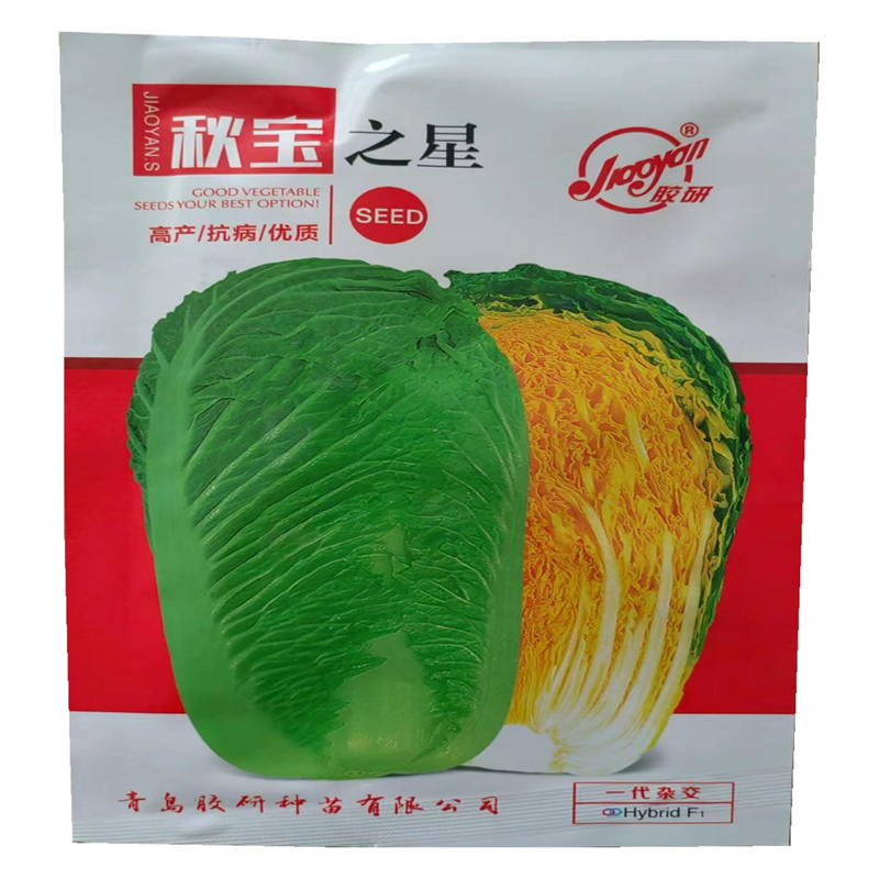 秋宝之星白菜种子高产黄心大白菜种子秋季白菜种子