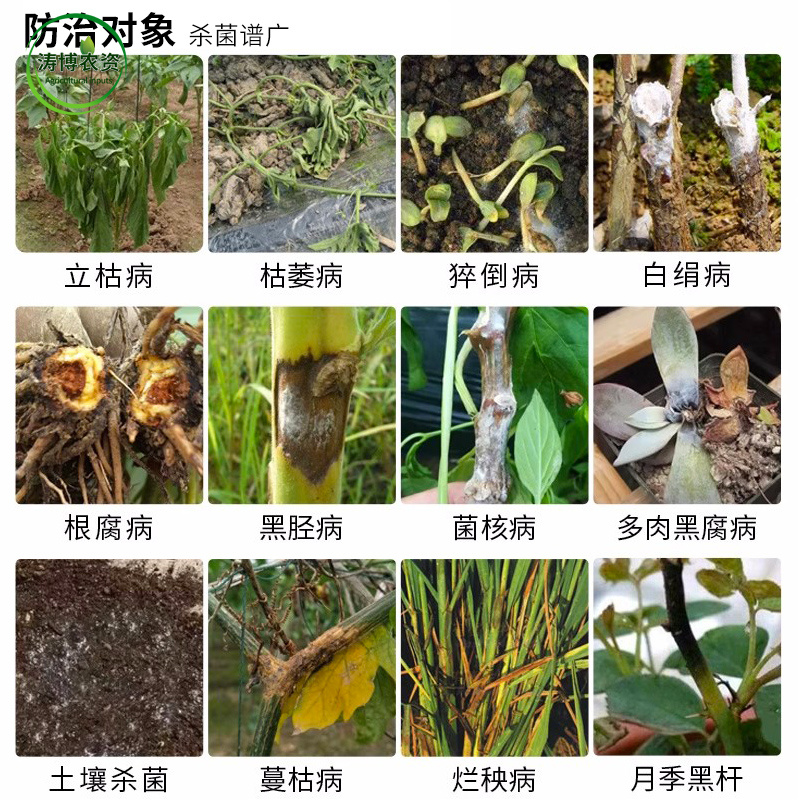 甲霜噁霉灵恶霉灵立枯病花卉绿植蔬菜根腐烂根死苗杀菌剂土传