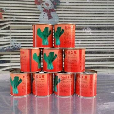 金品1夏青梗菜种子叶片直立叶色亮绿耐热耐湿抗病