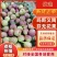 玛斯义陶芬无花果四川无花果（热卖推荐）大量现货供应发全国