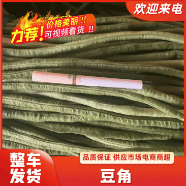【新鲜发货】开封青条豆角长豆角可加冰可入库代发全国诚信经营