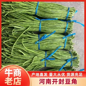【产地直发】开封长条豆角青豆角青条豆角货源充足品质保证