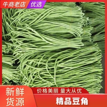 河南豆角开封青条豆角长豆角青豆角对接电商市场商超等各类