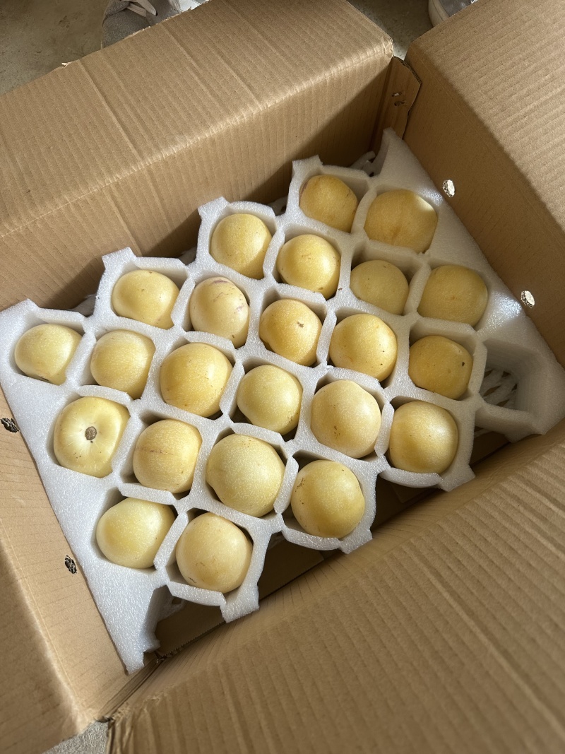 云南石林人参果全平台一件包邮云南石林刚上市