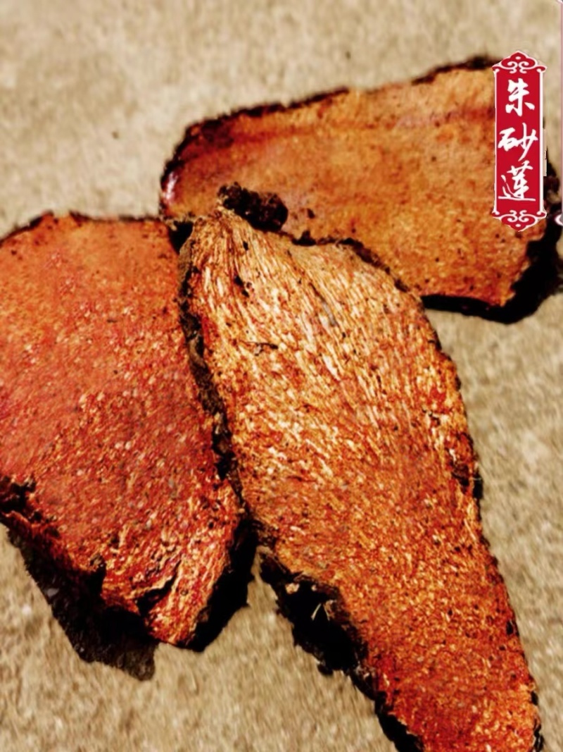 中药材朱沙连躲蛇生雷见怕产地直发欢迎老板采购视频看货