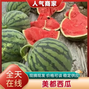 【精】精品无籽美都西瓜全国发货支持视频看货