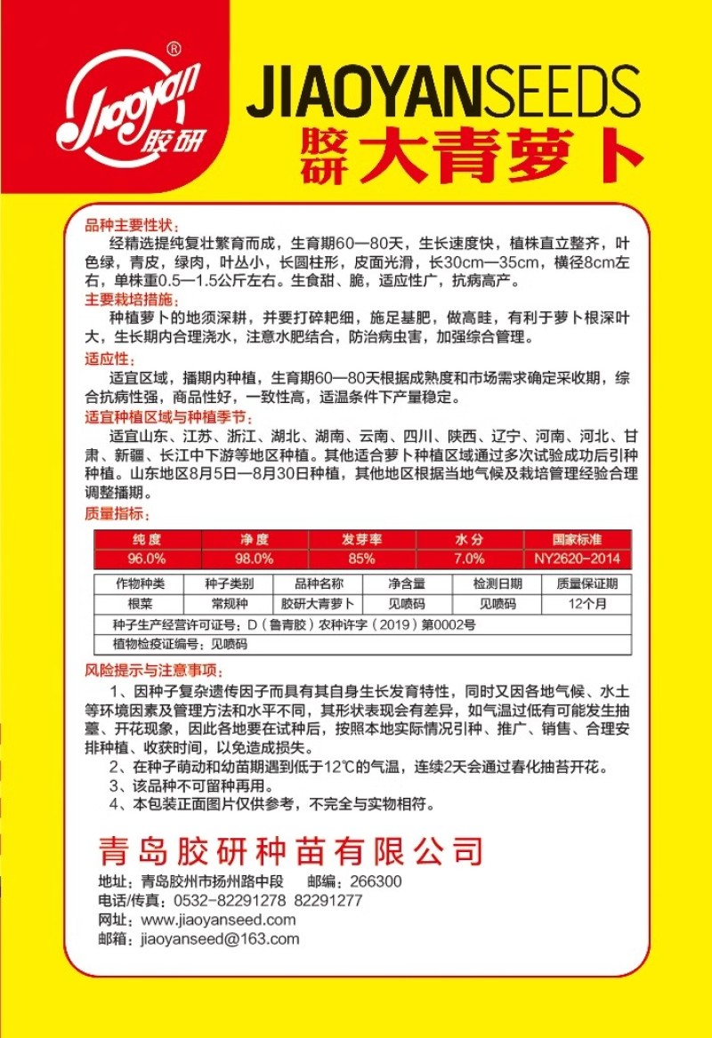 大青萝卜种子青皮绿肉皮面光滑生食甜脆
