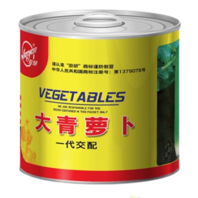大青萝卜种子青皮绿肉皮面光滑生食甜脆
