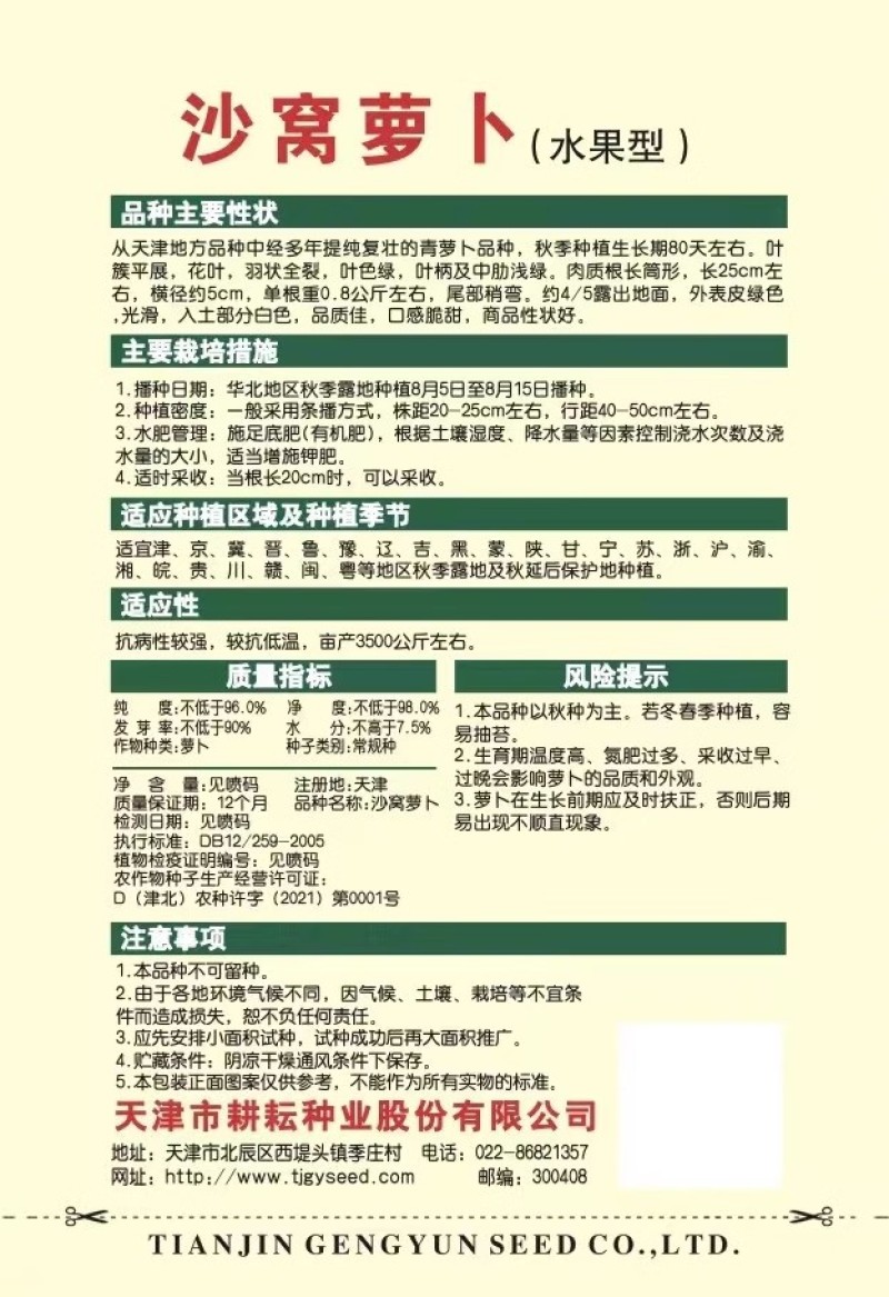 天津沙窝萝卜种子青萝卜种子表皮绿色光滑口感脆甜