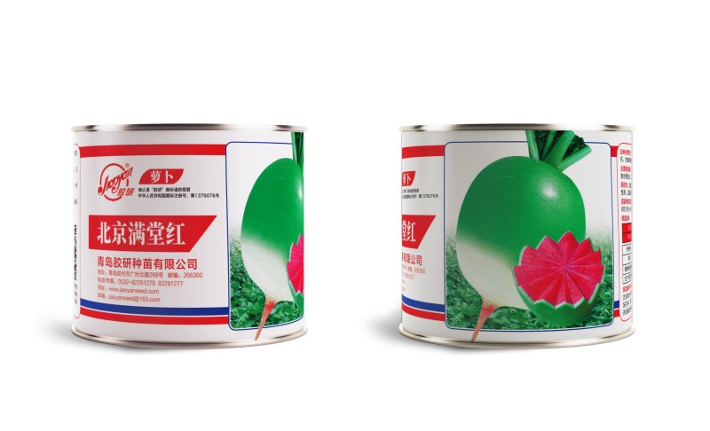 满堂红心里美萝卜种子椭圆皮绿肉质粉红生食甜脆