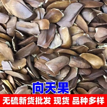 向天果中药材批发所罗门向天果白仁向天果网红产品