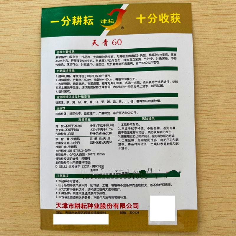 天青75青麻叶大白菜种子高桩直筒叶色深绿球顶花心