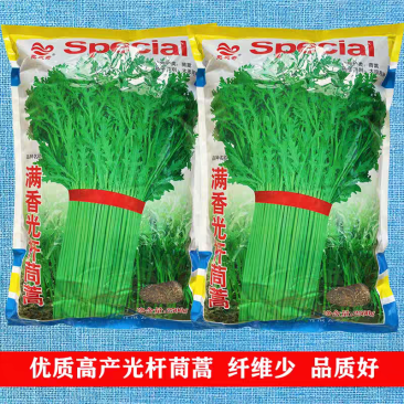 满香光杆茼蒿种子5斤原装茎淡绿叶色浓绿叶小而薄