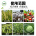 甲维虫螨睛农药杀虫剂钻心虫棉铃虫菜青虫玉米螟水稻果蔬玉米