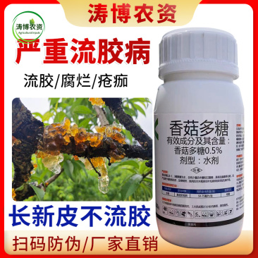 桃树专用药流胶病果树李子流胶一喷净流胶穿孔病溃疡腐烂病专
