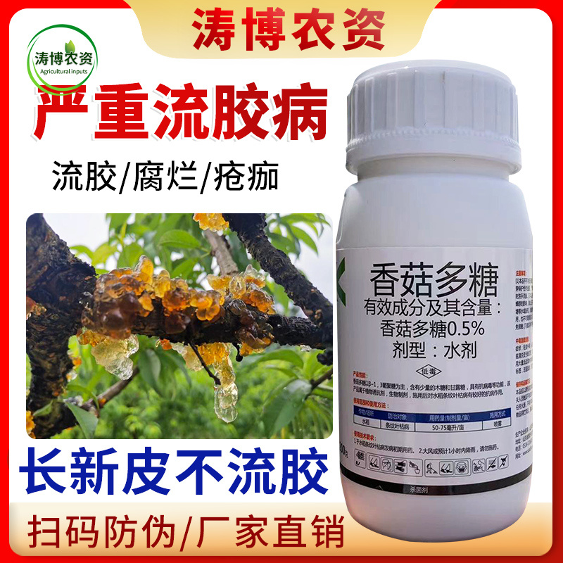 桃树专用药流胶病果树李子流胶一喷净流胶穿孔病溃疡腐烂病专