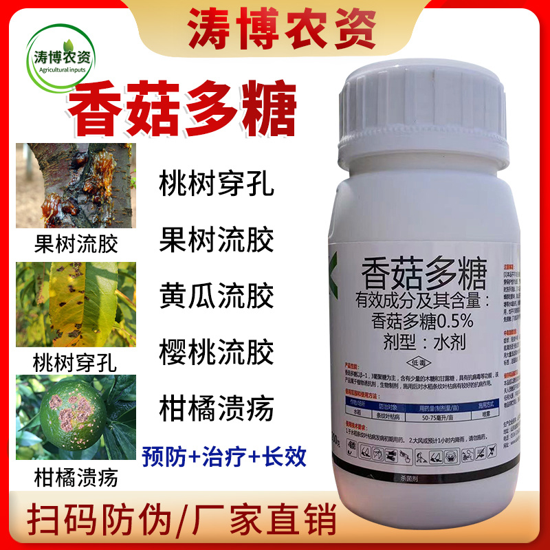 桃树专用药流胶病果树李子流胶一喷净流胶穿孔病溃疡腐烂病专