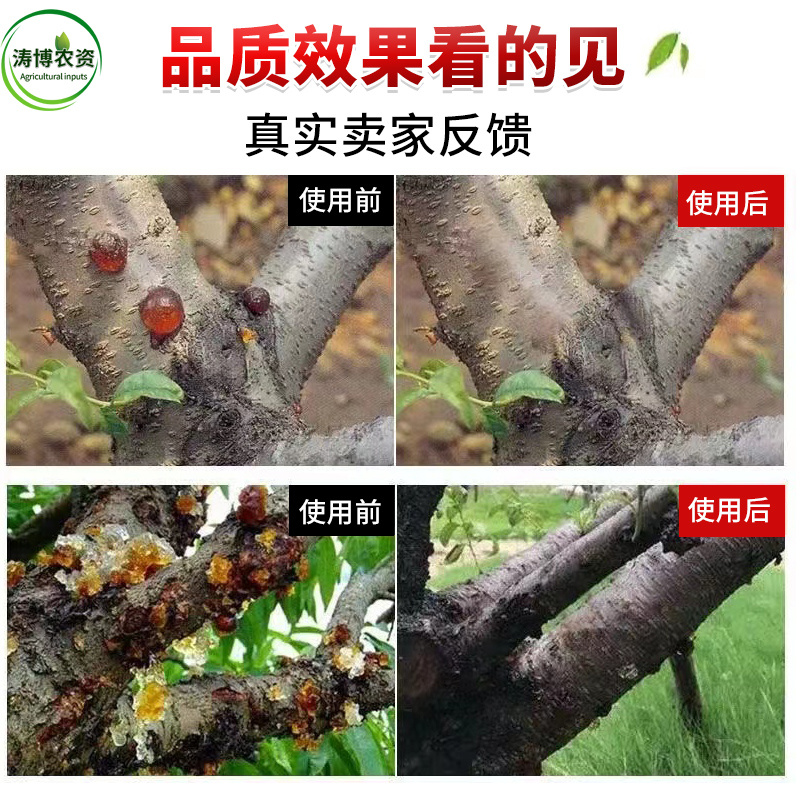 桃树专用药流胶病果树李子流胶一喷净流胶穿孔病溃疡腐烂病专