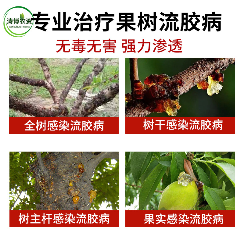 桃树专用药流胶病果树李子流胶一喷净流胶穿孔病溃疡腐烂病专